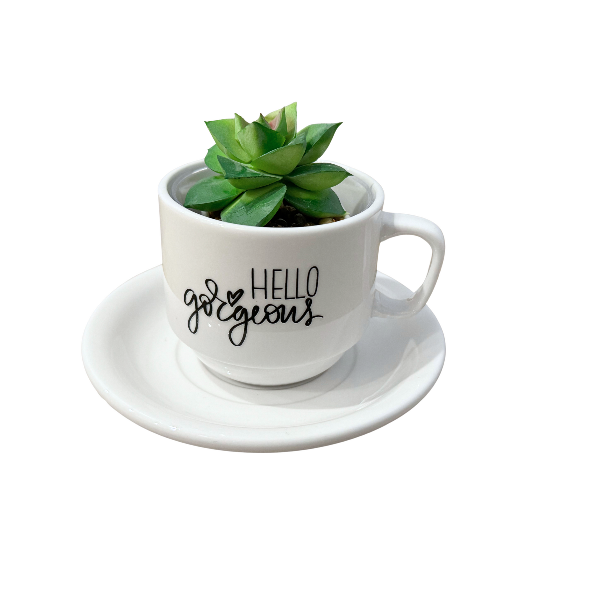 Coffee cup and saucer Set with Artificial Succulent plant